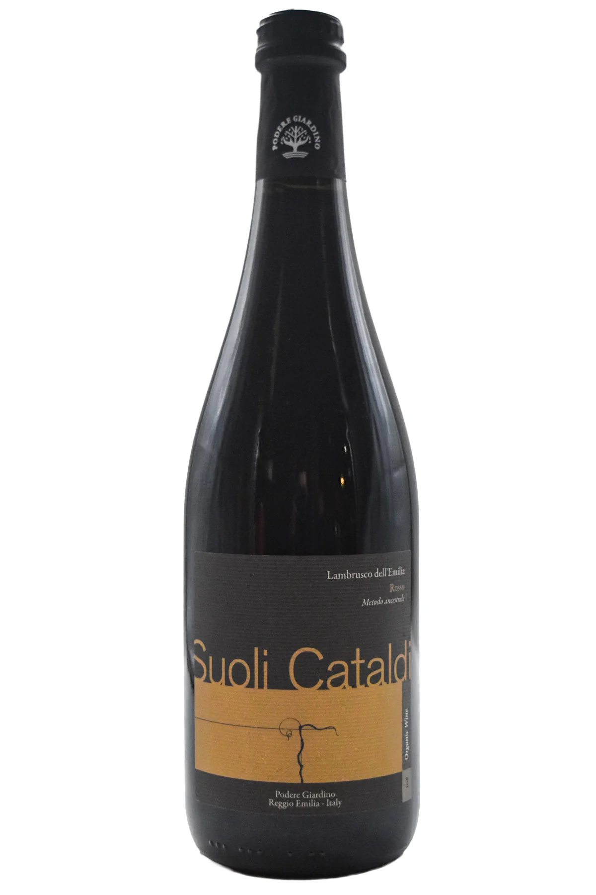 Popular Sparkling Wines Under $50